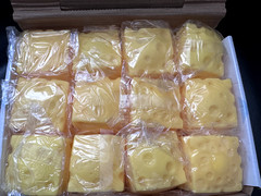 FULL CASE OF 12 SMALL SQUARE CHEESE SQUISHY SENSORY TOYS