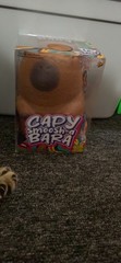 Squishy Capybara New In Package Fast Shipping USA Shipping