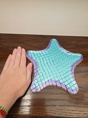 Flexible 3D Printed Starfish Fidget Toy Blue Purple Pink Yellow/gold Rainbow Big
