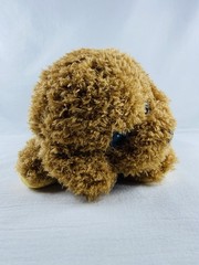 Sensory Fidget Dog Plush Golden Doodle Multiple Activities Weighted 13” Puppy
