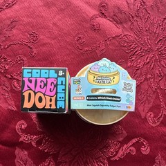 Schylling NeeDoh Cool Cube & RMS Mini Mystery Dumpling Squishy Squeeze Toys