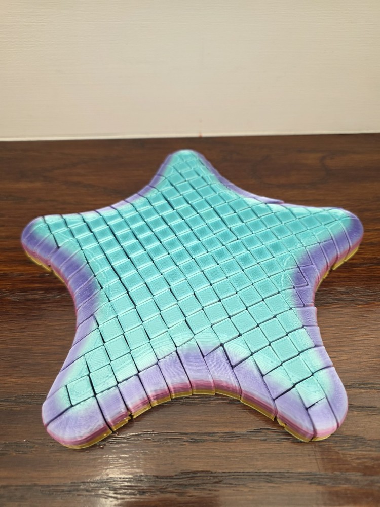 Flexible 3D Printed Starfish Fidget Toy Blue Purple Pink Yellow/gold Rainbow Big