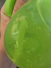 RMS Squishy Mystery Dumpling Green Apple Scented ULTRA SECRET RARE WORM🍏