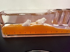 Liquid Motion Bubbler Ruler Desk Toy Orange Floating Seal Sensory Timer 13cm