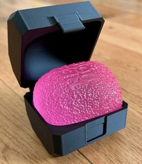 3D Printed Protective Carrying Storage Case For NeeDoh Gumdrop