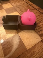 3D Printed Protective Storage Case For NeeDoh Teenie Cool Cats (Red & Black)