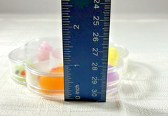 Mini Squishy Animal Squeeze Toys w/ Plastic Flower Case, Multicolor