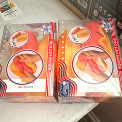 Sunny Days Squish Hot Dog sensory Squeeze Toys 2-Pack