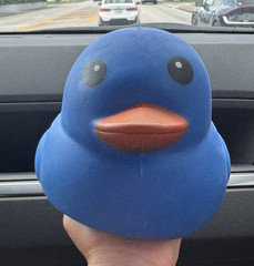 Sunny Days Blue Duck Squishy Squeeze Toy, Ages 3+, 4-7 to 17+ Years