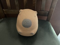 PPNC Capy Smoosh-a Bara Capybara Squishy Squeeze Toy BROWN Fidget Stress Relief