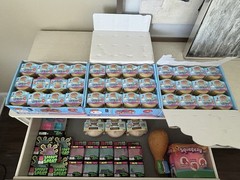 1 case (24pk) Squishy BUN DUMPLING Mystery One Set Sugar Edition