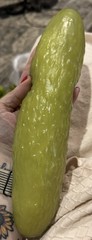 NEW! Squeezy Pickle Tiktok Viral Sensory Stress Relief Squishy Toy