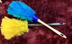 22 real feather dusters-Used only for Musical Dance activities, Not For Cleaning