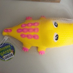 PPNC Squishy Chomp Chomp Gator Kids OS Yellow NWT Sensory Toy