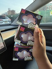RARE Newly Released Needoh Cloud Pleaser Sealed 100% Authentic