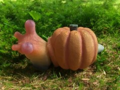 3d print, fidget, Pumpkin, Snail, figurine, gift, Fall party favor, Halloween