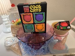 🐱 NeeDoh teenie 4 Pack Nee Doh Mini Cool Cats Set of Four New Factory Sealed🐱