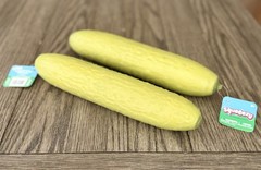 Sunny Days Squeezy Pickle Viral Squishy Stress & Sensory Fidget Toy New 2026