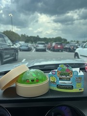 Rare Holographic Green Apple Scented Mystery Squishy Dumpling – Authentic – New
