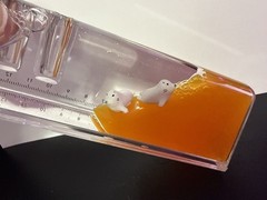 Liquid Motion Bubbler Ruler Desk Toy Orange Floating Seal Sensory Timer 13cm