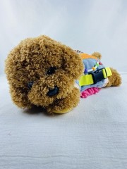 Sensory Fidget Dog Plush Golden Doodle Multiple Activities Weighted 13” Puppy