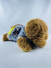 Sensory Fidget Dog Plush Golden Doodle Multiple Activities Weighted 13” Puppy