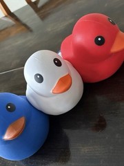 Red White and Blue Sunny Days Duck SET OF 3 – Squishy 4th July Special Release!