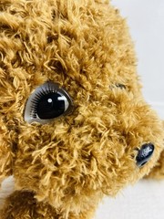 Sensory Fidget Dog Plush Golden Doodle Multiple Activities Weighted 13” Puppy