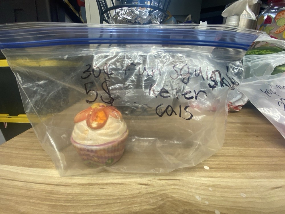 Homemade Squishy Cupcake