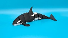 Articulated Orca Whale Flexi Toy 3D Printed Poseable Fidget Sensory Desk Gift